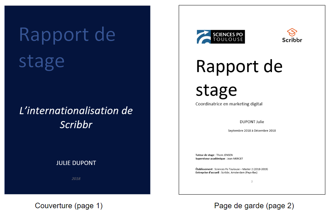 Exemple De Rapport De Stage En Esthetique Le Meilleur Exemple